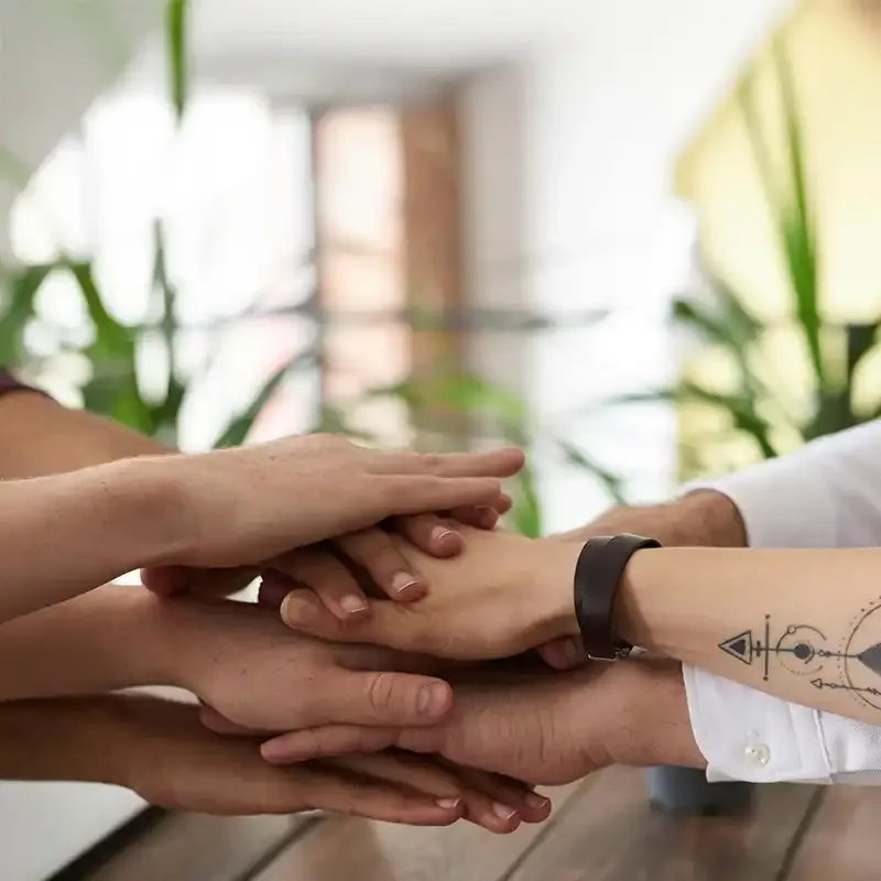 Profesionales del deporte 